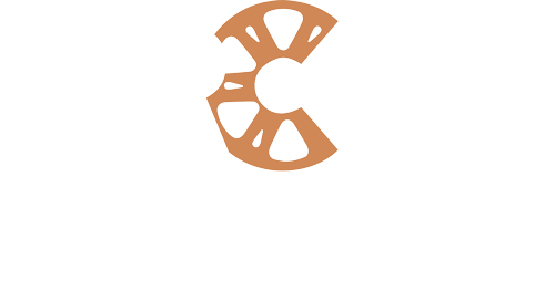 Reel Clutch